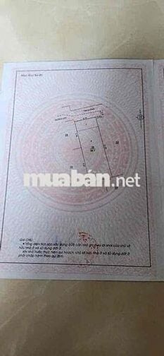 Nhà 2 tầng vị trí đẹp Tân Sơn Nhì - Tân Phú 50m2 (4,2 m x 12m)