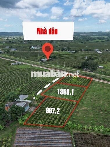 CHÍNH CHỦ BÁN ĐẤT VƯỜN – GẦN HỒ SUỐI ĐÁ