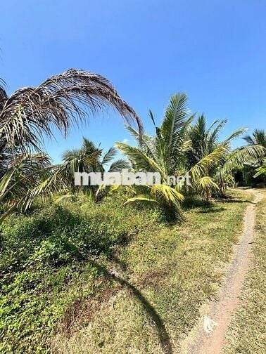 CHÍNH CHỦ BÁN ĐẤT VƯỜN – GẦN HỒ SUỐI ĐÁ