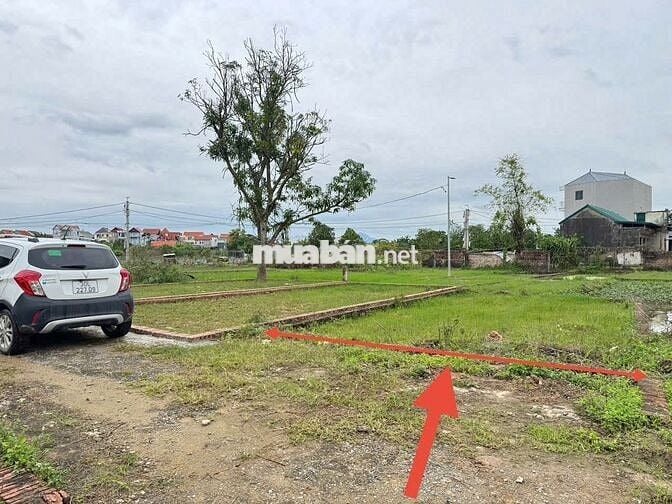 Bán 54m đất tổ 9, thôn Ấp Quan, xã Quang Minh, thành phố Hà Nội. Mặt