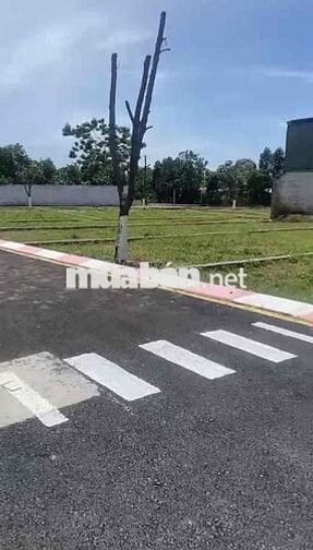 Bán đất tại Vai Réo, Quốc Oai, Hà Nội, 5,035 tỷ, 105 m2, gần Nhà máy i