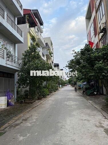 CẦN BÁN ĐẤT TÁI ĐỊNH CƯ GIANG BIÊN - LONG BIÊN HÀ NỘI.