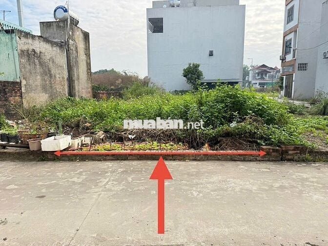 Đất đẹp tổ 9, TT Quang Minh (cũ), nay là thôn Ấp Tre, xã Quang Minh.