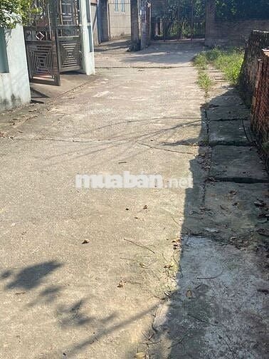 Bán đất thôn Yên Nhân, Tiền Phong, Mê Linh. Lô góc, 3 bước chân tới