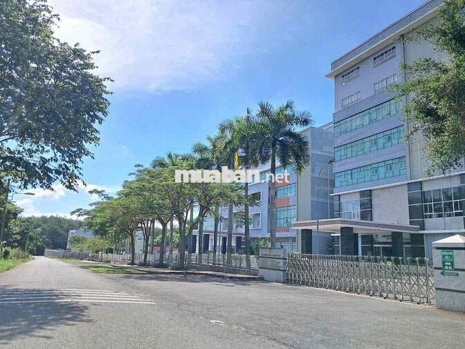 Bán đất mặt tiền dx 80 định hoà cũ sát bên Bệnh Viện Phương chi TDM BD