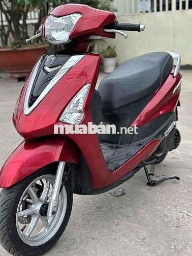 Yamaha Acruzo 2016 bstp zin êm