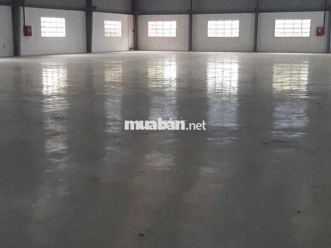 KHO XƯỞNG ĐẸP ( 1.680m2 ) CONTAIENR 24/24