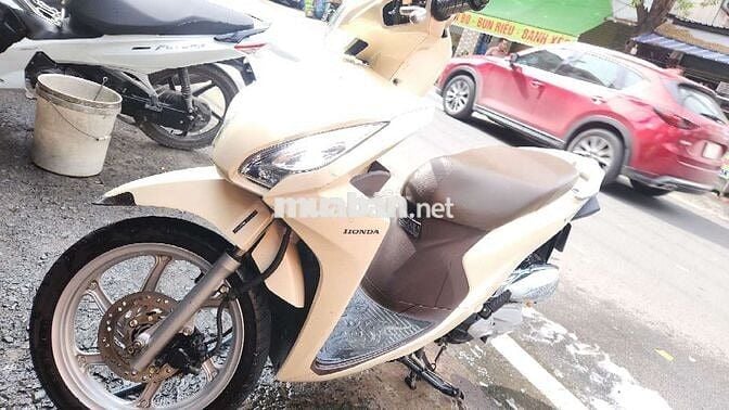 Xe vision của nhà