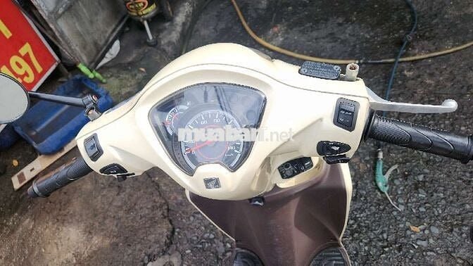 Xe vision của nhà