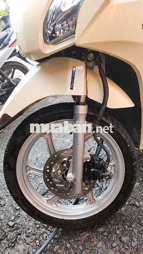 Xe vision của nhà