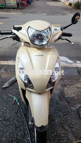 Xe vision của nhà