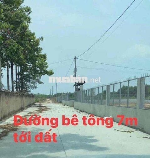 Cần bán 1 sào ngay trục 16, ngay khu nhà vườn, đường bê tông 7m