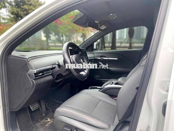 VF6 PLUS 24 - MUA PIN