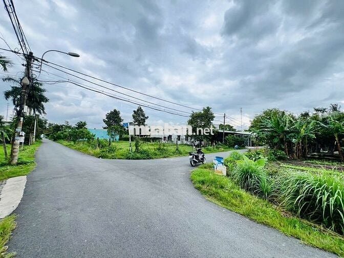 KẸT VIỆC BÁN GẤP LÔ ĐẤT 2MT – 295M² – TÂN THÔNG HỘI – CHỈ 420 TRIỆU 🔥