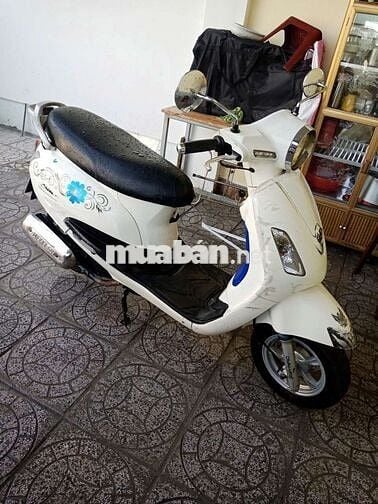 SYM Attila 50 Trắng