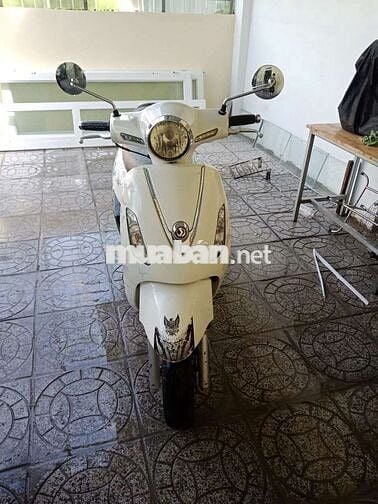 SYM Attila 50 Trắng