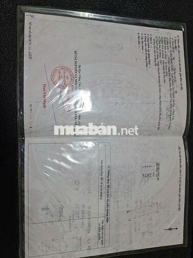 Bán 2 miếng đất nông nghiệp thị xã Phú Mỹ, BRVT , 850 triệu/miếng