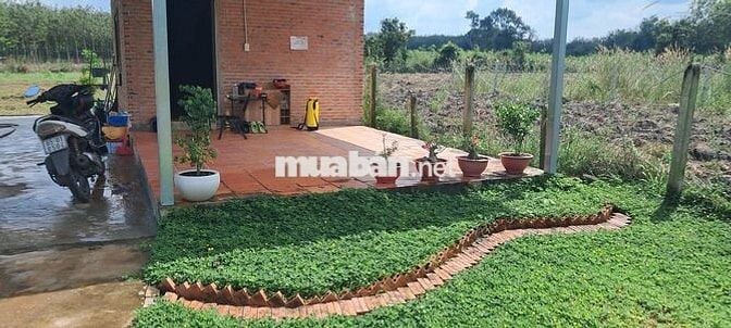 Bán Lô Đất - Nhà Vườn 1280m2 - 300 thổ cư giá ***