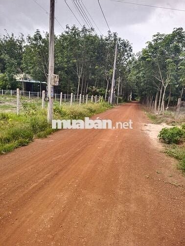 Bán Lô Đất - Nhà Vườn 1280m2 - 300 thổ cư giá ***