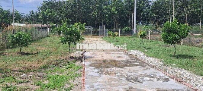 Bán Lô Đất - Nhà Vườn 1280m2 - 300 thổ cư giá ***