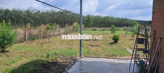 Bán Lô Đất - Nhà Vườn 1280m2 - 300 thổ cư giá ***