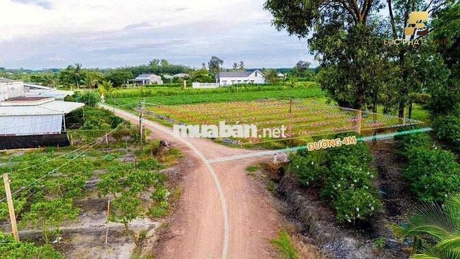 Đất Nền Giá Rẻ Dương Minh Châu Tây Ninh