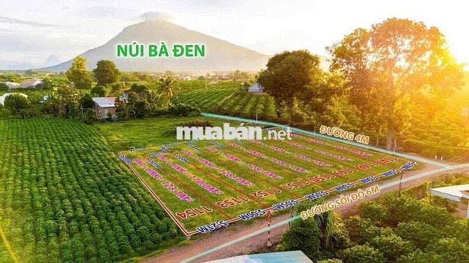 Đất Nền Giá Rẻ Dương Minh Châu Tây Ninh