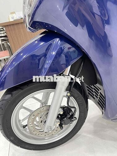 Lead 12/ 2024 Bstp chính chủ