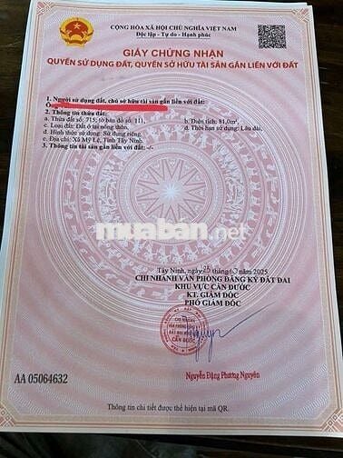 790tr . Khu dân cư Nam Phong dragon