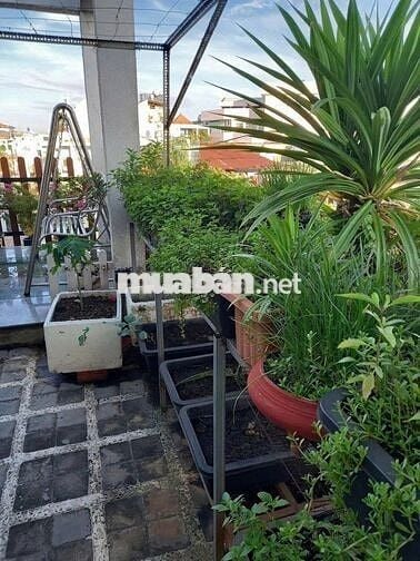 ✅️HẺM 6M - NGUYỄN BÁ TÒNG - 5 TẦNG, 5X18 - CHO THUÊ 50TR/THÁNG