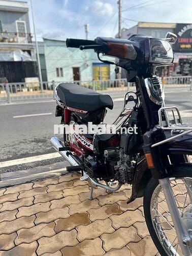 Honda Dream màu Nâu đỏ