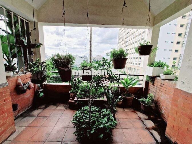 Bán gấp nhà phố mặt tiền đường Cao lỗ, quận 8, 4 tầng, 4pn, nhỉnh 14tỷ