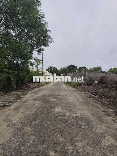 Chủ gửi bán lô đất ngay trường Mầm Non Lộc An giá 1.4 tỷ sổ sẵn