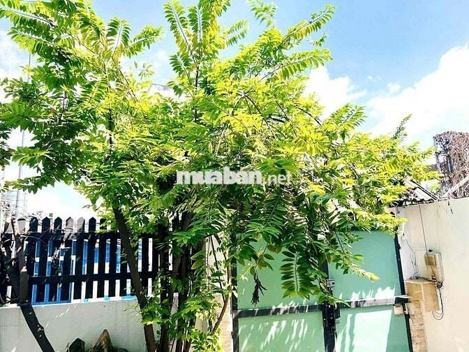 Căn hộ Duplex sân vườn siêu rộng ngay chân cầu Bình Lợi