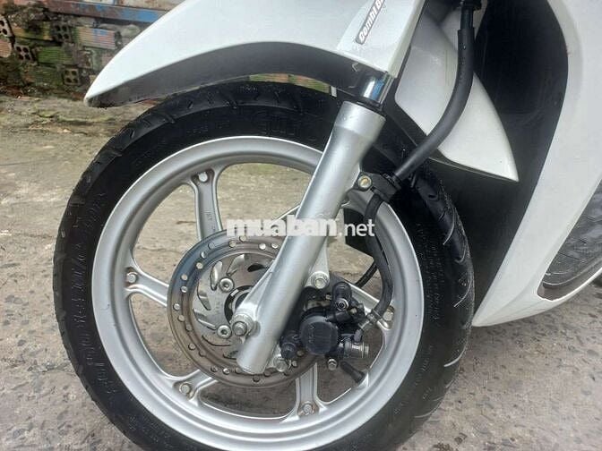 Vision cuối 2016 cọp bstp