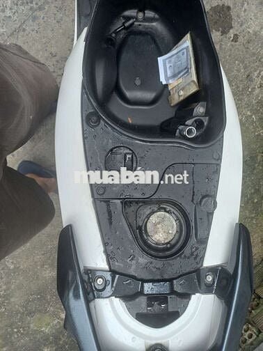 Vision cuối 2016 cọp bstp