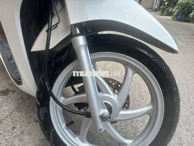 Vision cuối 2016 cọp bstp