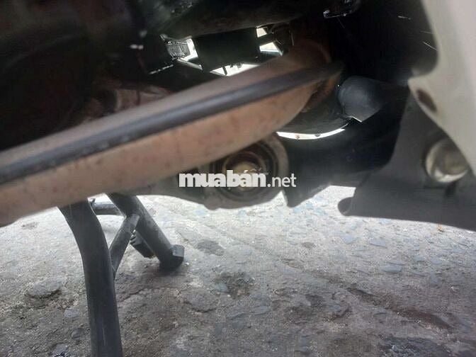 Vision cuối 2016 cọp bstp