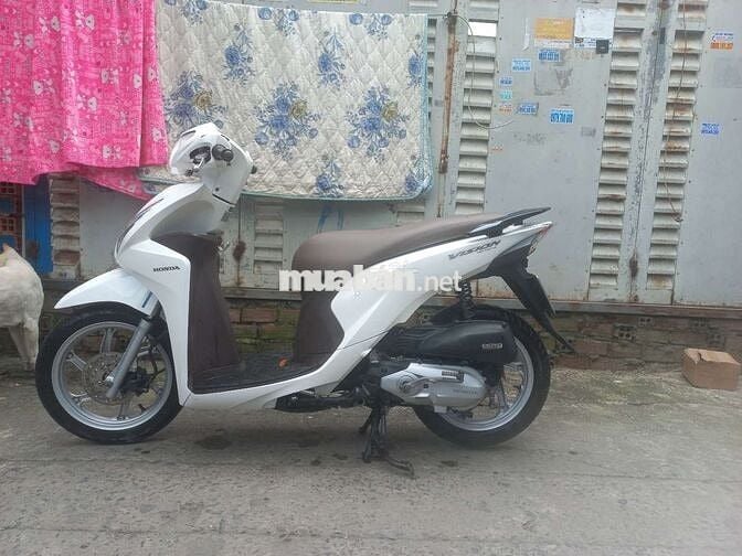 Vision cuối 2016 cọp bstp