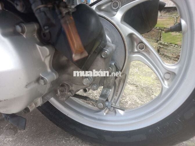 Vision cuối 2016 cọp bstp