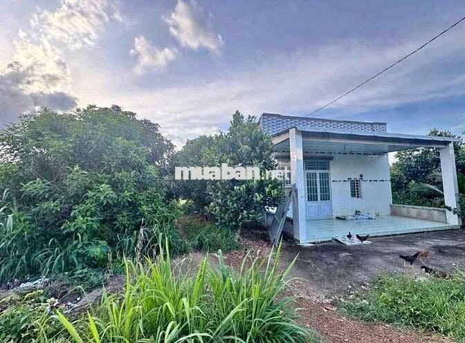 Chủ cần bán lô đất 3400m2 ngang 50 thổ cư 300m2 có nhà sẵn trên đất