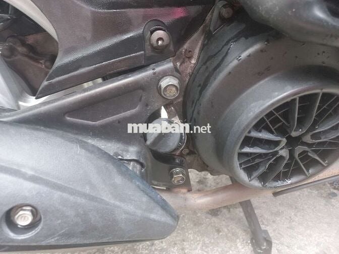 Vision cuối 2016 cọp bstp