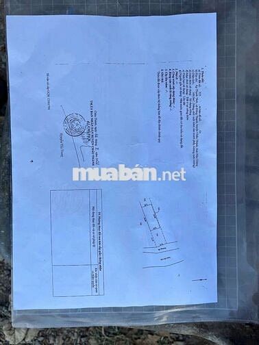 ....
🌿 MÔ HÌNH NGHỈ DƯỠNG CUỐI TUẦN – LÝ TƯỞNG CHO GIA ĐÌNH & BẠN BÈ