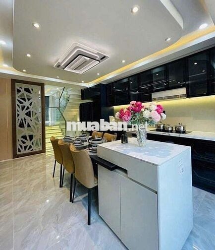 Cho thuê Siêu Phẩm 4pn6wc, p Karaoke, Phan Huy Ích p14 Gò vấp