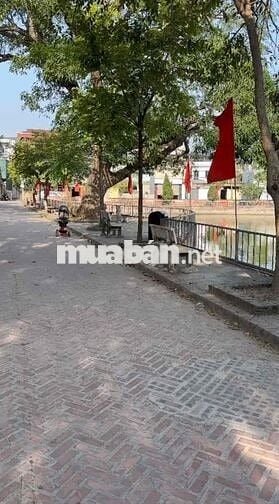 chính chủ cần bán lô đất 40m2 nở hậu tại Đại Áng_Thanh Trì nhỉnh 3 tỷ