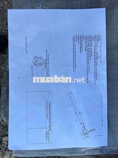 ....
🌿 MÔ HÌNH NGHỈ DƯỠNG CUỐI TUẦN – LÝ TƯỞNG CHO GIA ĐÌNH & BẠN BÈ