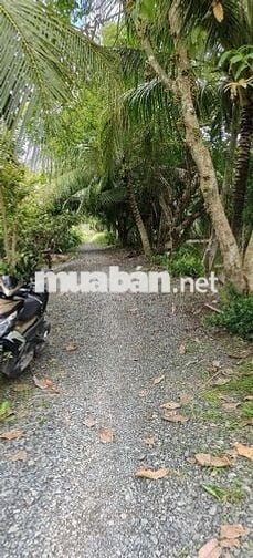 ....
🌿 MÔ HÌNH NGHỈ DƯỠNG CUỐI TUẦN – LÝ TƯỞNG CHO GIA ĐÌNH & BẠN BÈ