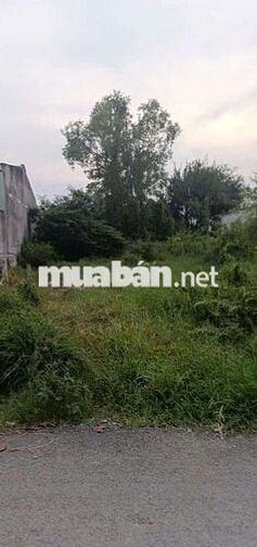 Sỡ Hữu Ngay Nền Thổ Cư Gần Chợ Hưng Long