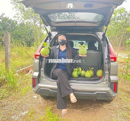 đất vườn bưởi 1 sec dt750 tài chính 3xx mua được