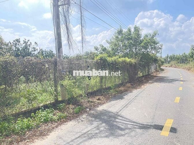 đất vườn bưởi 1 sec dt750 tài chính 3xx mua được